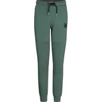 Petrol Industries Pantalon 'Uinta' vert