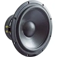 Visaton TIW 300 - 8 Ohm woofer 12 pouces