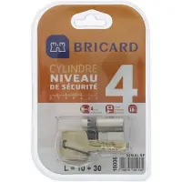 Bricard SERIAL XP 18006 Demi-cylindre 10+30 mm nickelé niveau de sécurité 4