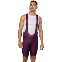 Pearl Izumi Expedition Pro Bib Shorts Violet M Homme