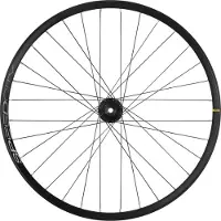 Mavic E-speedcity Cl Disc Front Wheel Argenté 12 x 100 mm / Shimano/Sram HG