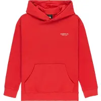 Element Co Hoodie Rouge 16 Years Garçon