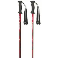 Masters Rental Carbon Poles Argenté 135 cm