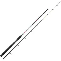 Sunset Girelle Sw Bottom Shipping Rod Argenté 2.40 m / 60-120 g