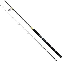 Kinetic Brutalis Fs Canne à Bateau Noir 2.44 m / 30-80 g Noir 2.44 m