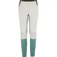 Craft Pro Nordic Race Wind Pants Gris L Homme