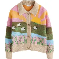 Next Cardigan mélange de couleurs