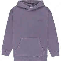 Element Lowcase Pigment Hoodie Violet 14 Years Garçon