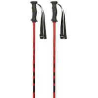 Masters Carbon Rtl Poles Argenté 125 cm