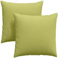 vidaXL Coussins de canapé 2 pcs Vert clair 60 x 60 cm tissu