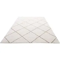 Vevor Tapis Salon Chambre Poil Long 2,44 x 3,05 m Tapis Moderne de Décoration Intérieur Rectangulaire en Peluche Moelleux Épais Résistant Envers Antidérapant pour Salon