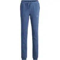 Jack & Jones Junior Pantalon 'JJIGORDON' saphir
