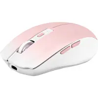 TNB Souris Sans Fil Mwgradientpk