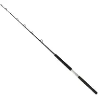 Daiwa Sealine X Trolling Rod Argenté 1.75 m / 50-80 Lbs