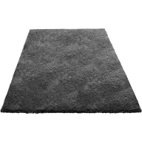 Vevor Tapis Salon Chambre Poil Long 1,5 x 2,4 m Tapis Moderne de Décoration Intérieur Rectangulaire Antidérapant Peluche Moelleux Doux Épais Envers Non Tissé