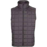 Dlx Enoless Vest Gris M Homme