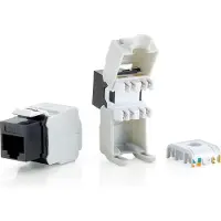 Equip Professional - Modulare Eingabe - RJ-45 (Packung mit 8) (769211)