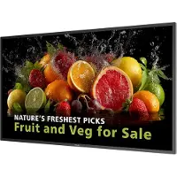 Philips 5000 series 43BDL5050D, Tableau numérique plat, 108 cm (42,5"), LCD, 3840 x 2160 px, Wi-Fi, 24/7