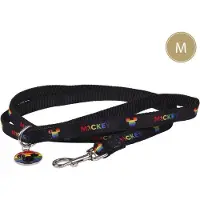 Cerdá For Fan Pets Disney Pride Laisse Pour Petit Chien Licence Officielle Disney