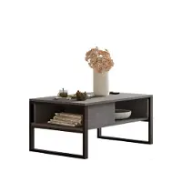 Hannah Home Table basse en bois "ML34" - 100 x 59 x 44 cm - Argent