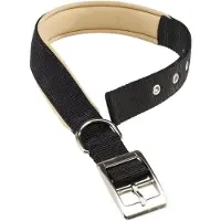 Ferplast Daytona C20/43 - Collier de chien noir (Chien, Général)