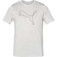 Puma T-Shirt fonctionnel 'Tad Essential' gris clair / noir