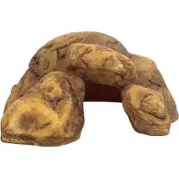 Exo Terra Caverne de reptiles M 24x17x17cm