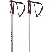 Völkl Phantastick Woman Poles Argenté 110 cm Femme