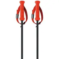 Fischer Rd 13 Carbon Poles Orange 135 cm
