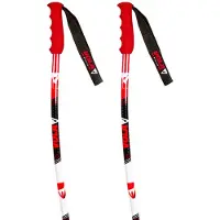 Vola Gs Alu Poles Multicolore 135 cm