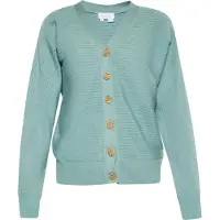 Usha Cardigan aqua