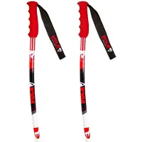 Vola Bâtons Junior Gs Alu