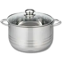 ELO Stahlwaren Elo 2222026 Faitout Inox À Induction, Faitout Inox, Marmite En Inox De 20 Cm, Faitout Avec Couvercle En Verre, Acier Inoxydable, Verre, 20 Cm