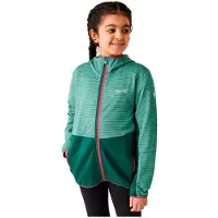 Regatta Veste Prenton III verte pour garçon, 11-12 ans