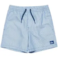 Quiksilver Everyday Deluxe Volley 14 Swimming Shorts Bleu 12 Years Garçon