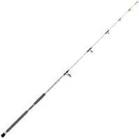 Expert Predator Skipjack Bottom Shipping Rod Argenté 2.40 m / 100-300 g