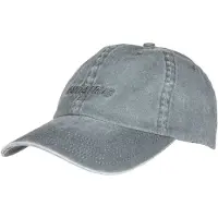 Santa Cruz Team Cap Gris