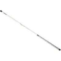 Daiwa Aqualite Alborella, canne à pêche pour la pêche au posé, couleur argent, 5,00 mètres
