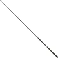 Daiwa Legalis Vertical Jigging Rod Argenté 1.91 m / 20-80 g