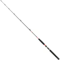 Daiwa Megaforce Trollingrute 1.70m / 15-30 Lbs 1.70m