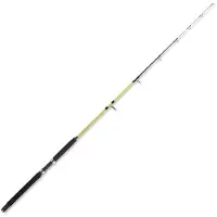 Sugoi Ahiga Canne à jigging légère argent 1.70 m argent 1.70 m