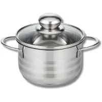 Fackelmann Elo 221226 Faitout Inox À Induction, Faitout Inox, Marmite En Inox De 12 Cm, Faitout Avec Couvercle En Verre, Acier Inoxydable, Verre, 12 Cm