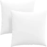 vidaXL Coussins de canapé 2 pcs Blanc 60 x 60 cm tissu