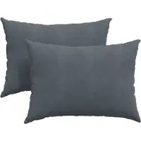 vidaXL Coussins de canapé 2 pcs Gris foncé 70 x 50 cm
