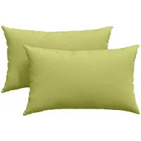 vidaXL Coussins de canapé 2 pcs Vert clair 50 x 30 cm tissu