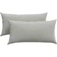 vidaXL Coussins de canapé 2 pcs Gris clair 80 x 40 cm tissu