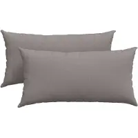 vidaXL Coussins de canapé 2 pcs Taupe 80 x 40 cm tissu