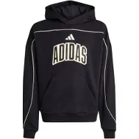 Adidas Stadium Lettering Hoodie Noir 11-12 Years Enfants