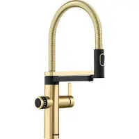BLANCO Robinet de cuisine DRINK.FILTER EVOL-S PRO satin or mat 527430