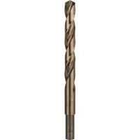 Bosch Pro Hss-co Din 338 12x101x151 Metal Drill Bit Argenté